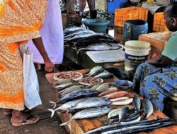Ahli Kesehatan : Konsumsi Ikan Penting Untuk Tumbuh Kembang Otak Anak
