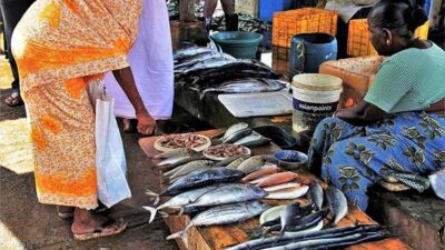 Ahli Kesehatan : Konsumsi Ikan Penting Untuk Tumbuh Kembang Otak Anak