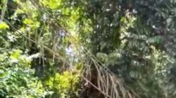 Jembatan tali sungai digul putus