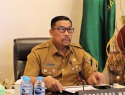 Hadiri Rakor Bersama Mendagri, Gubernur Maluku Paparkan Strategi Pengendalian Inflasi Daerah