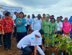 Aksi Penanaman 1000 Pohon Bersama Ibu Negara, Papua Barat Dukung Kebijakan Negara