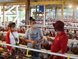Jadi Pengusaha Ayam Petelur, Finalis Putri Indonesia Ini Inspirasi bagi Anak Muda Papua