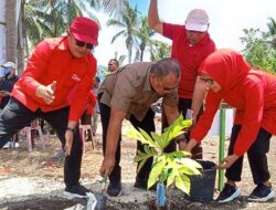 Komisi II DPRD Maluku Dukung Gerakan Tanam Sukun, Dorong Perbanyak Bibit