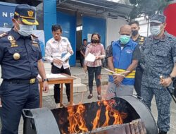 Jaringan Puluhan Kilogram Ganja PNG Diungkap BNN Papua Barat