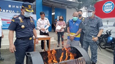 Jaringan Puluhan Kilogram Ganja PNG Diungkap BNN Papua Barat