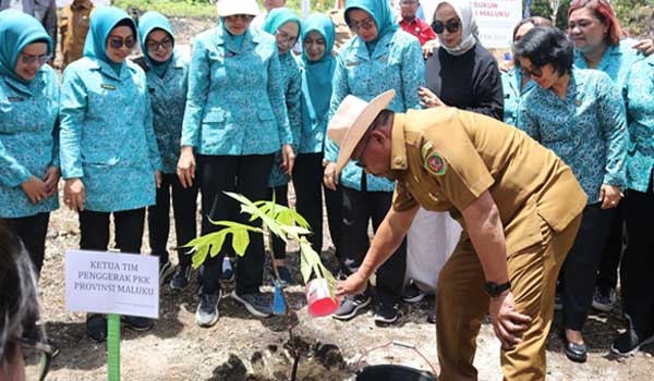 Gubernur Maluku Ajak Masyarakat Galakkan Tanam Sukun Untuk Kemandirian Pangan 1 tanam sukun