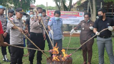 IMG 20230413 WA0008