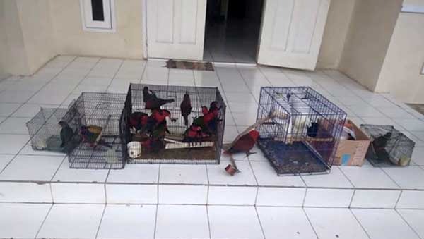 IMG 20230531 WA0044