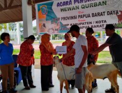 DWP Provinsi PBD Berqurban 12 Ekor Kambing Untuk Idul Adha 2023
