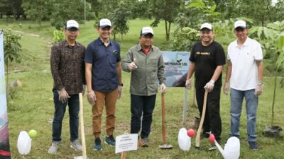 Jasa Raharja Tanam 1.000 Pohon di Lampung, Ini Tujuannya