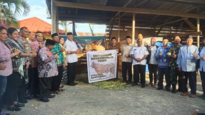 Waterpauw Serahkan Sapi Brahma Bantuan Presiden dan Hewan Qurban Pemprov Papua Barat