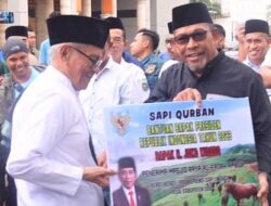 Gubernur Maluku Serahkan Bantuan Hewan Qurban Jelang Idul Adha 1444 H