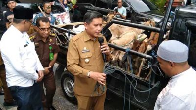 Pemkot Ambon Salurkan Hewan Qurban, Total 70 Ekor