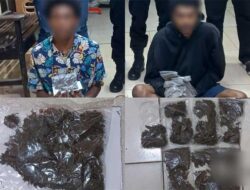 Polisi Amankan 2 Calon Penumpang KM Ciremai di Pelabuhan Jayapura, Kedapatan Bawa Ganja