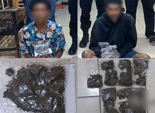 Polisi tangkap 2 Penumpang KM Ceremai awa Ganja
