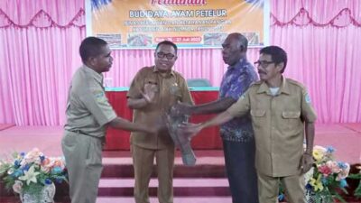 75 Pelaku Usaha OAP di Biak Ikut Pelatihan Budidaya Ayam Petelor