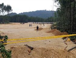 Organisasi Pers Papua Kecam Polisi Intimidasi Wartawan Liput Perusakan Hutan Mangrove