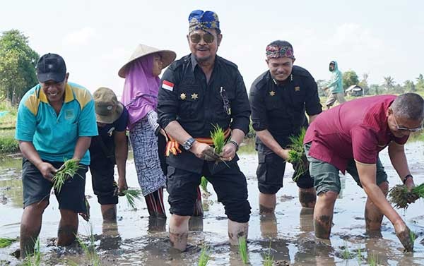 Gernas El Nino di NTB, Mentan SYL Tanam Padi dan Pimpin Pembuatan Biosaka untuk Petani 1 IMG 20230819 WA0019