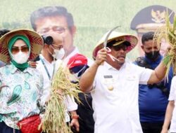 Hingga 2023, Capaian Pembangunan Pertanian di Maluku Tunjukkan Peningkatan