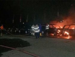Kebakaran di Parkiran Kantor DPR Papua Hanguskan 12 Mobil, Penyebabnya Belum Diketahui