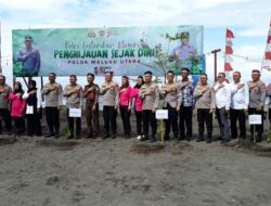 Lestarikan Keanekaragaman Hayati, Pertamina Patra Niaga Regional PAMALU Bersama Kapolda Malut Lepas Tukik di Pantai Kastela