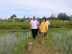 Sambangi Petani di Distrik Oransbari Mansel, Pj Gubernur: Pemerintah Siap Support