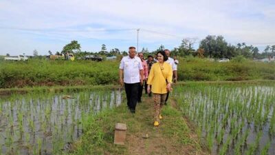 Sambangi Petani di Distrik Oransbari Mansel, Pj Gubernur: Pemerintah Siap Support
