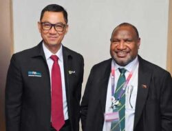 Petakan Kerja Sama dengan PNG Power, PLN Siap Transfer Listrik Lintas Batas Negara