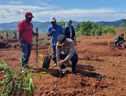 Aksi Tanam 1500 Pohon, Wujud Konsistensi Lestarikan Alam Kota Jayapura