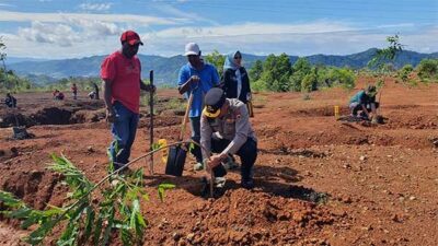 Aksi Tanam 1500 Pohon, Wujud Konsistensi Lestarikan Alam Kota Jayapura
