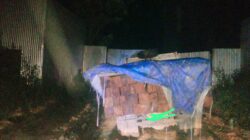 Kayu Merbau Diduga Tanpa Dokumen Bebas Melewati Mapolsek Salawati 11 IMG 20231013 WA0029