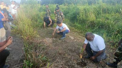 Peringati HSP ke 95 Tahun, Pemuda PBD Tanam Pohon di Jalan Pariwisata