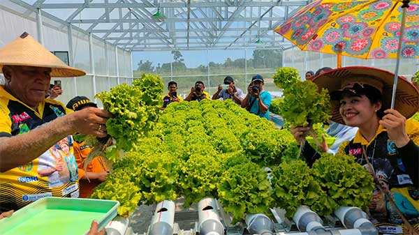 Pj Gub PB Cangkan Lahan Kebun Susweni2