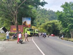 Insiden Truk Tronton Gagal Menanjak di Jayapura, Mobil Hingga Lapak Pinang jadi Korban