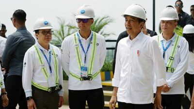 PLN Presiden Jokowi IKN