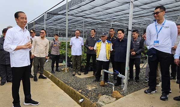 PLN Presiden Jokowi IKN2