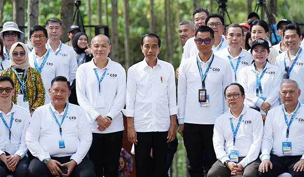 PLN Presiden Jokowi IKN6