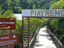 PLN Hadirkan Listrik SuperSUN di Piaynemo Raja Ampat, Dorong Pengembangan Wisata