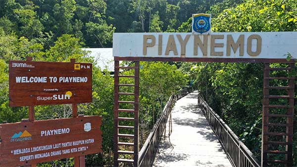 PLN SuperSUN Piaynemo