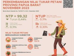 NTP Papua Barat Turun 0,44 Persen di November 2023