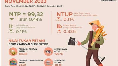 NTP Papua Barat Turun 0,44 Persen di November 2023