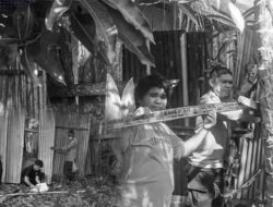 Heboh Kasus Pembuangan Bayi di Sorong, Ternyata Bermula Karena Ini