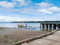 Bupati Bintuni Soal Ambruknya Pelabuhan Babo: Kemenhub-BP Tangguh yang Bertanggung Jawab