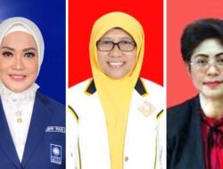 Hitung Cepat KPU: 3 Perempuan Caleg DPR RI Ini Dominan di Dapil Maluku