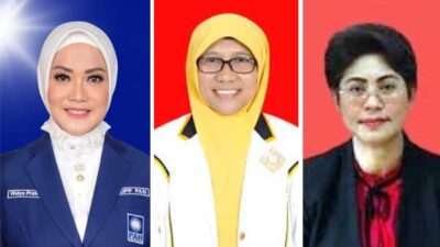 3 Perempuan Caleg DPR RI Dapil Maluku