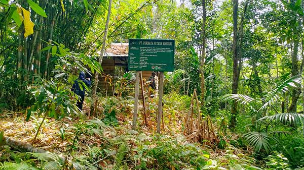 Rehabilitasi DAS Malanu Sorong Utara2