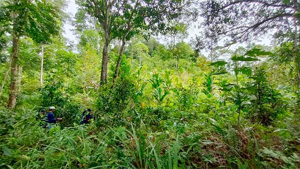 Rehabilitasi DAS Malanu Sorong Utara3