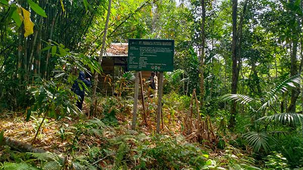 DAS Ransiki Malanu Sorong PT Permata Putera Mandiri