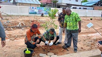 Penanaman Pohon yang disaksikan Kepala Dinas LHKP Provinsi Papua Barat Daya, Kelly Kambu, ST, M.Si/ Foto : Suzan
