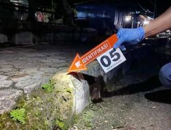 Laka Tunggal Gara-gara Mabuk, Tiga Polisi di Supiori Nyawa Melayang